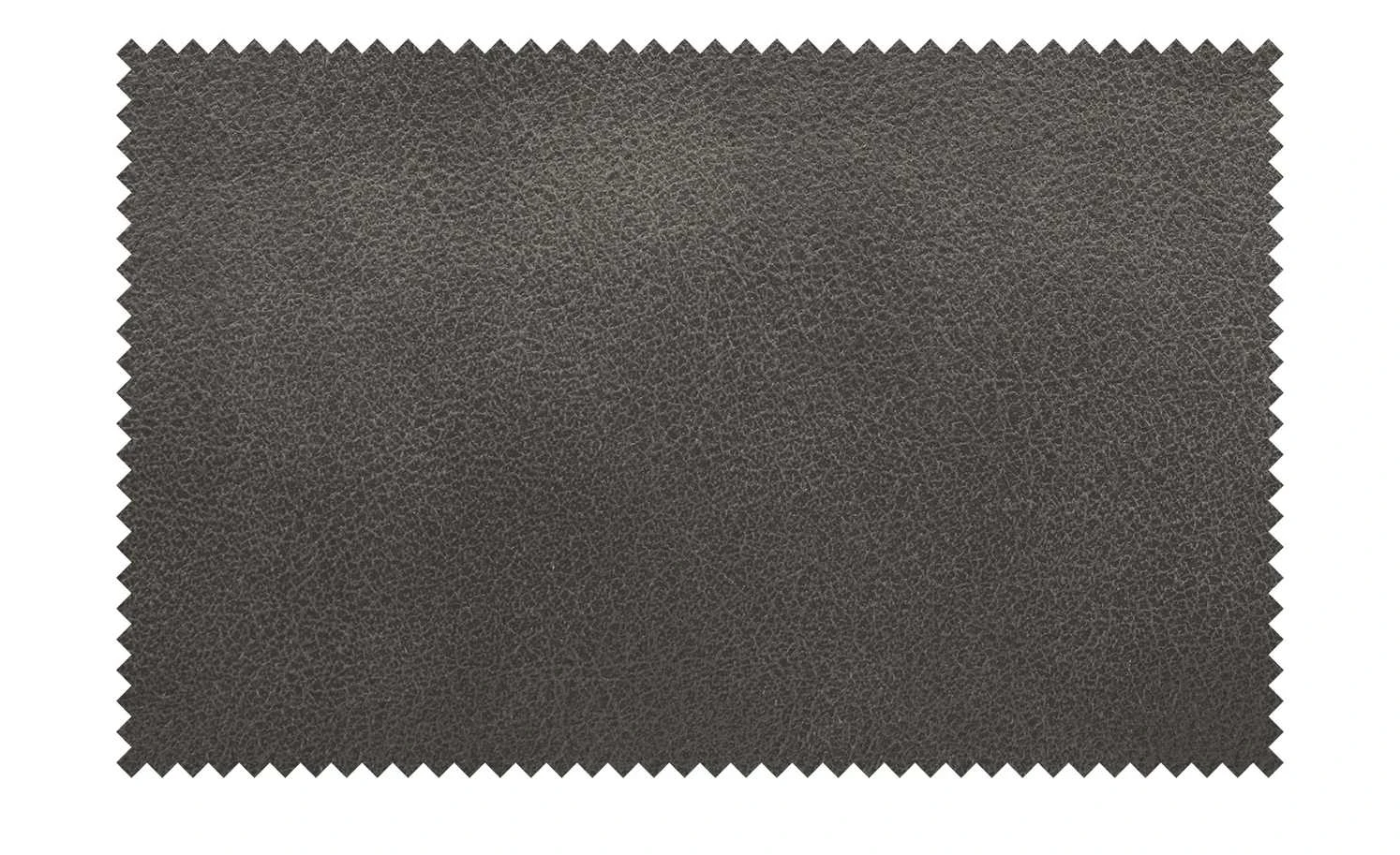 Max Schelling Multifunktionskopfstütze Maximum Plus | Anthrazit 6 Max Schelling Multifunktionskopfstütze Maximum Plus | Anthrazit – Bild 4