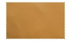 meinSofa Armlehnenkissen Dana | Curry (Orange-Gelb) -Polsterzubehör Verkäufe 28400611 1 202108172242