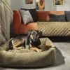 LABONI Hundebett Classic | Olive (Grün) S -Polsterzubehör Verkäufe 28401351 8 202108051259