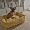 LABONI Hundebett Classic | Gold (Gelb) S