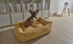 LABONI Hundebett Classic | Gold (Gelb) M