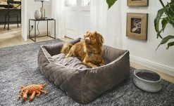 LABONI Hundebett Samt Classic | Stone (Grau) S