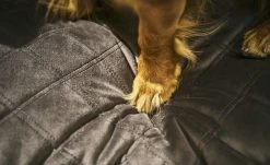 LABONI Hundebett Samt Classic | Stone (Grau) L -Polsterzubehör Verkäufe 28401369 5 202108091258