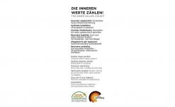 LABONI Hundebett Classic -Polsterzubehör Verkäufe 28401372 6 202108051259