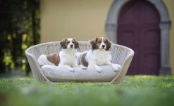 LABONI Design-Hundebett Vogue