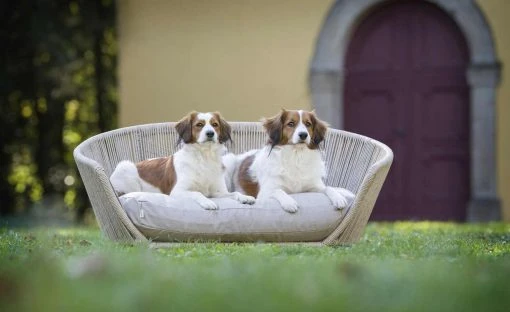 LABONI Design-Hundebett Vogue -Polsterzubehör Verkäufe 28401375 8 202108062232