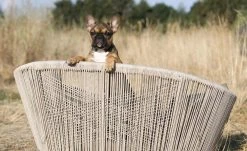 LABONI Design-Hundebett Vogue