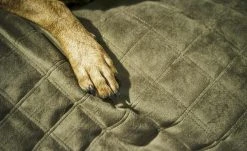 LABONI Hundedecke Oxford | Olive (Grün) L -Polsterzubehör Verkäufe 28401382 6 202108041300