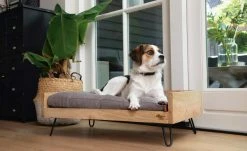 Designed by Lotte Holzbett für Hunde Turana | M 8 Designed by Lotte Holzbett für Hunde Turana | M -Polsterzubehör Verkäufe 28401955 1 202108062232