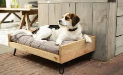 Designed by Lotte Holzbett für Hunde Turana | M 7 Designed by Lotte Holzbett für Hunde Turana | M -Polsterzubehör Verkäufe 28401955 2 202108062232