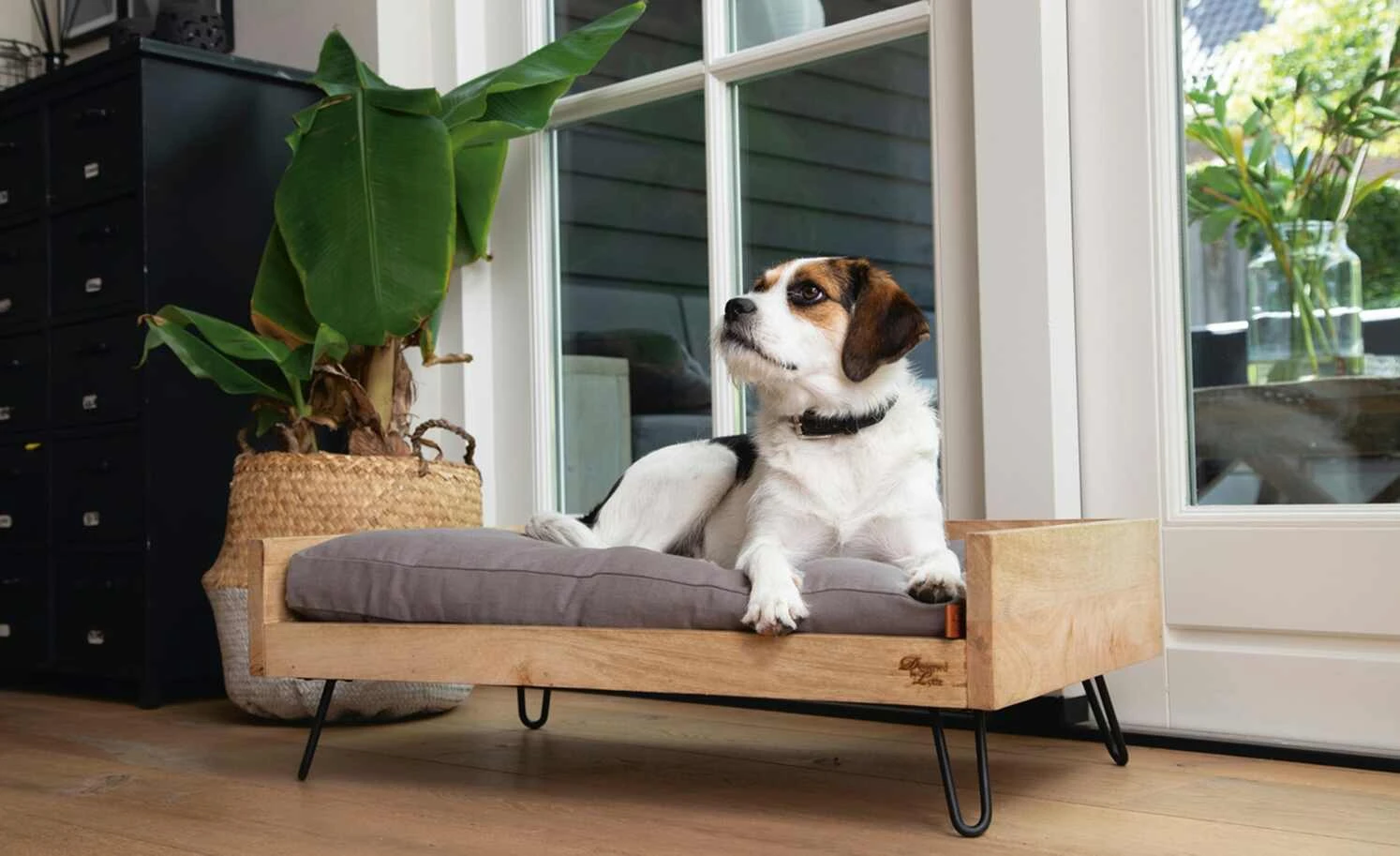 Designed by Lotte Holzbett für Hunde Turana | M 3 Designed by Lotte Holzbett für Hunde Turana | M