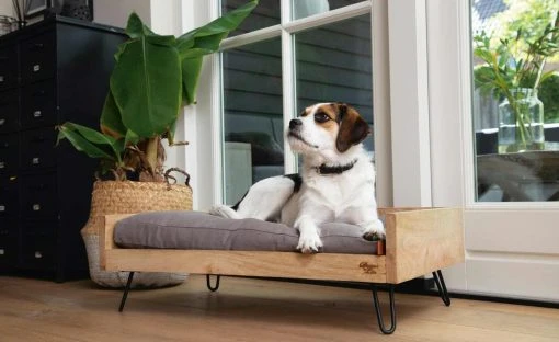 Designed by Lotte Holzbett für Hunde Turana -Polsterzubehör Verkäufe 28401956 3 202108091258