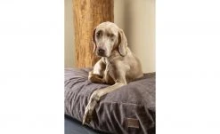 Designed by Lotte Liegekissen für Hunde Unnay | Braun XL -Polsterzubehör Verkäufe 28401993 1 202108091258