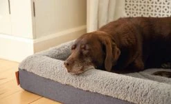 Orthopädisches Hundebett Yura | L -Polsterzubehör Verkäufe 28402097 1 202108091258