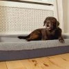 Orthopädisches Hundebett Yura | XL