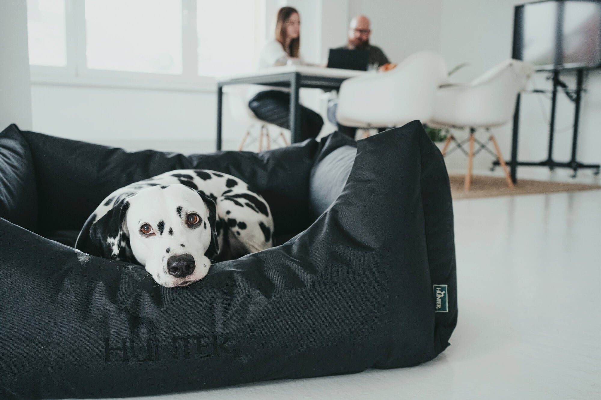 Polsterzubehör Verkäufe -Polsterzubehör Verkäufe hunter hundesofa gent antibakteriell schwarz 263505 de